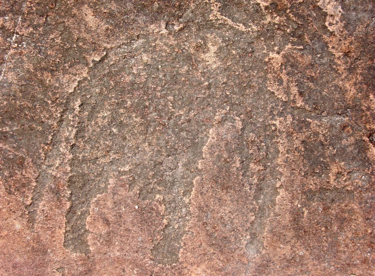 Ghaub Nature Reserve & Farm - One Namibia Grootfontein Dış mekan fotoğraf