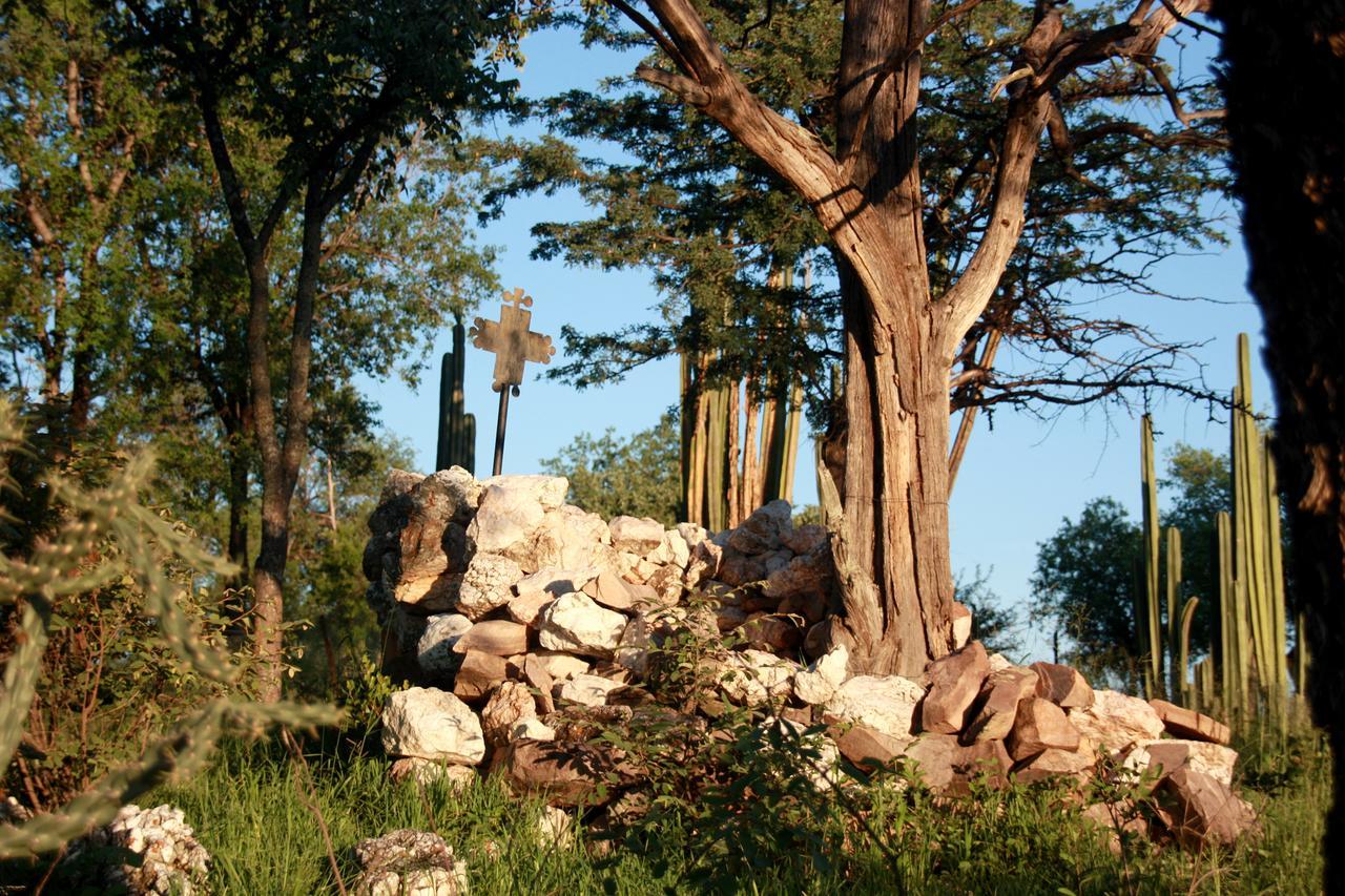 Ghaub Nature Reserve & Farm - One Namibia Grootfontein Dış mekan fotoğraf